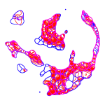 shape-6